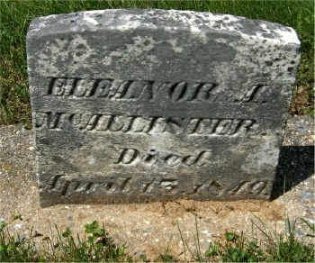 Elanor McAllister